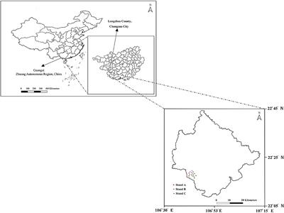 Mixed planting improves soil aggregate stability and aggregate-associated C-N-P accumulation in subtropical China